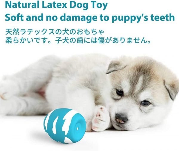 犬おもちゃ 音の出る 【6点セット】 - 画像 (4)
