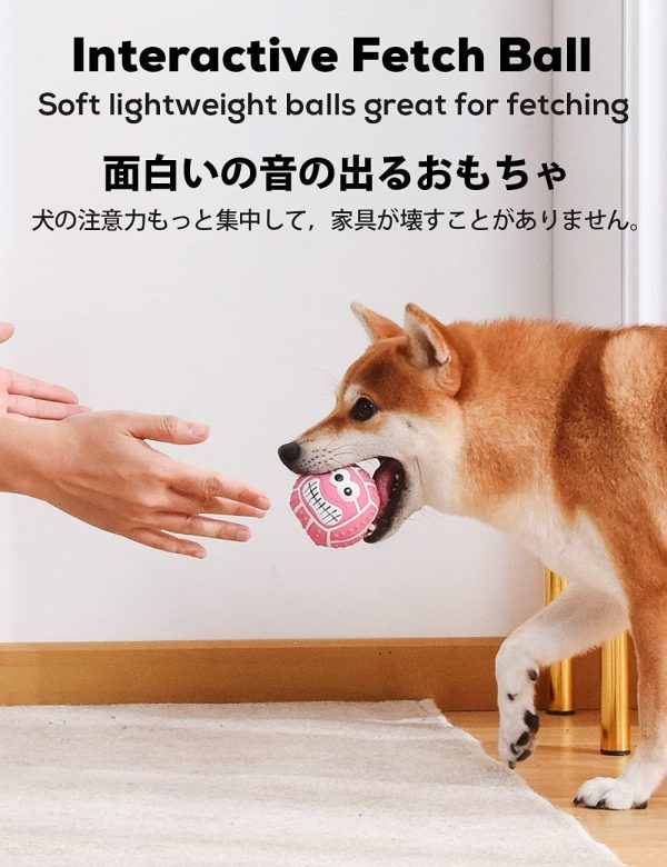 犬用 音の出るおもちゃ - 画像 (4)