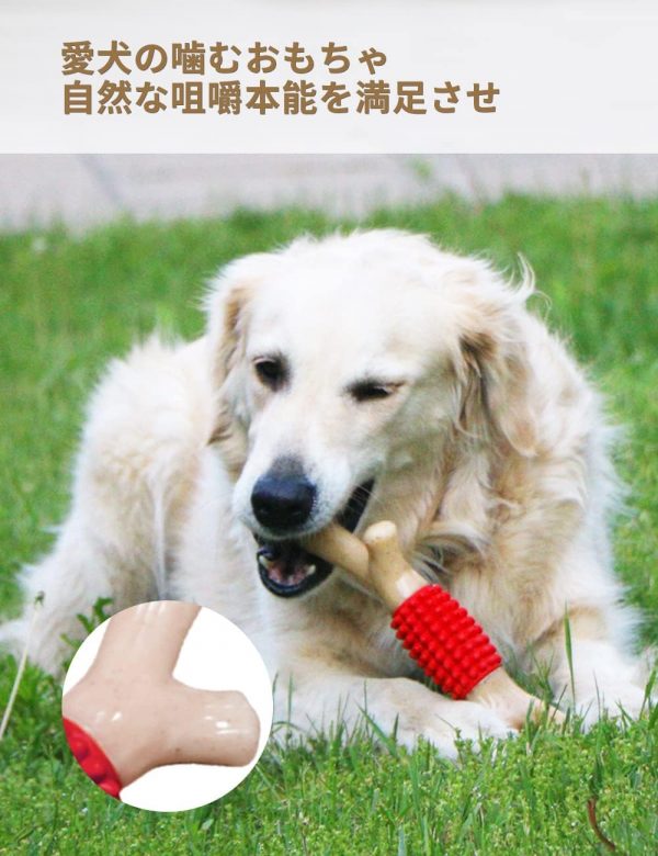 SCHITEC 犬 おもちゃ 噛む 歯ブラシ 【枝の形・レッド・牛肉の香り・噛みやすい】歯磨き 知育玩具 ストレス解消 運動不足 丈夫 耐久性 訓練玩具 大・中型犬に適用 (レッドの噛むクッション) - 画像 (5)